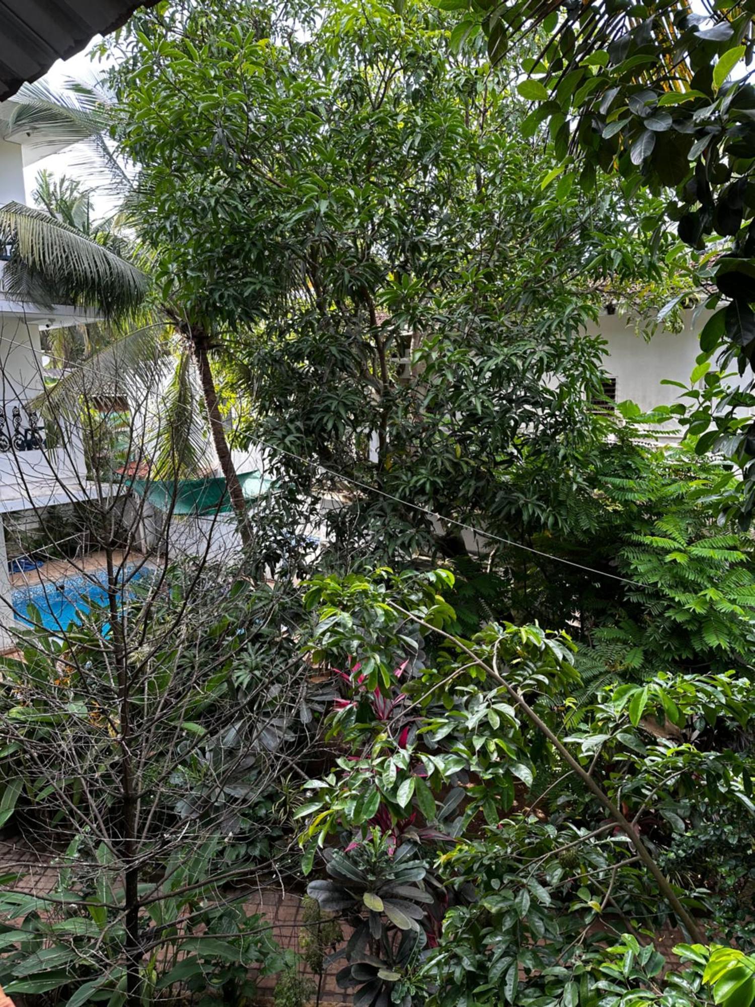 Hotel Sunshine Vagator Esterno foto